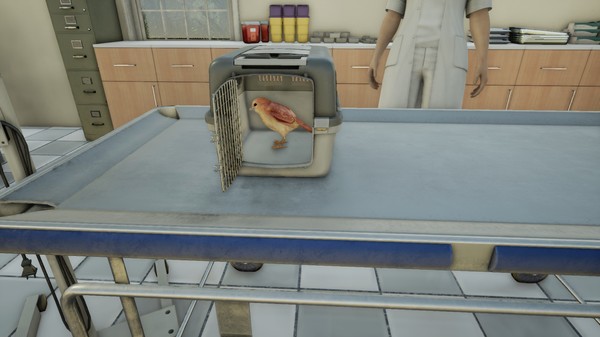 Animal Doctor screenshot 7