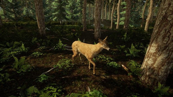 Animal Doctor screenshot 12