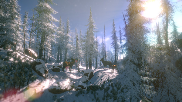 FlowScape screenshot 3