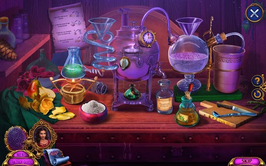Dark Romance: Hunchback of Notre-Dame Collector's Edition screenshot 3