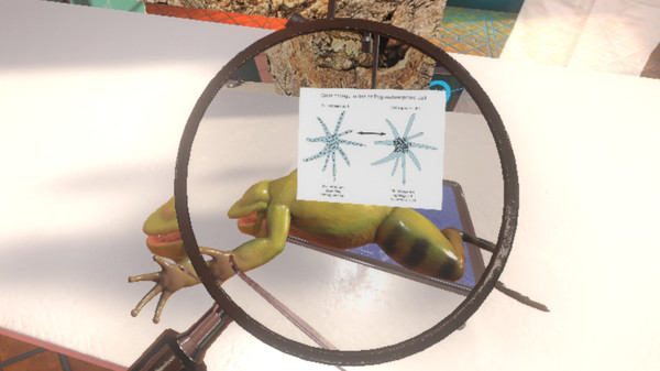 Dissection Simulator: Frog Edition screenshot 5