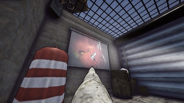 Narwhal Heist screenshot 2