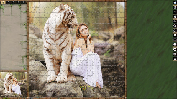 Pixel Puzzles Traditional Jigsaw Puzzles screenshot 4