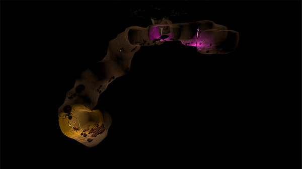 AntQueen 3D screenshot 2