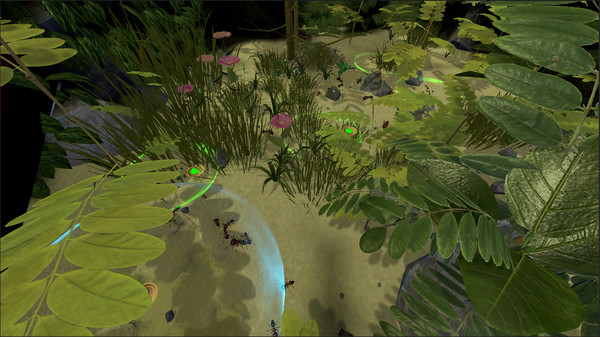 AntQueen 3D screenshot 9