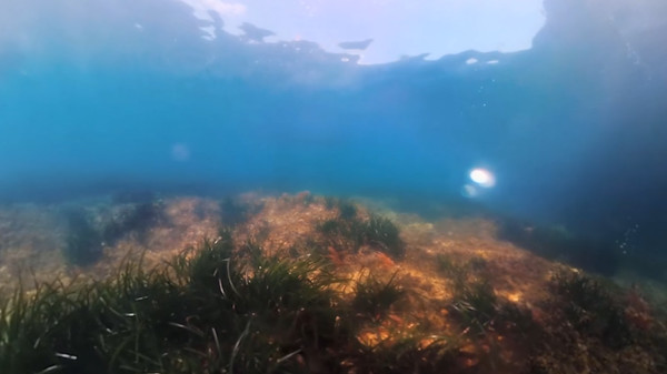 The Crystal Reef screenshot 1