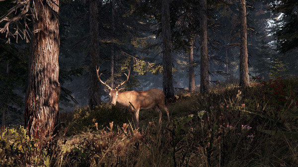 This Land Is My Land screenshot 8