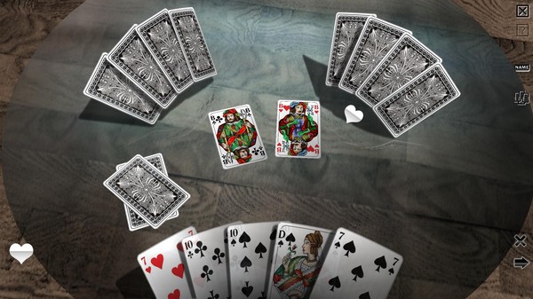 Skat 3D Premium screenshot 3