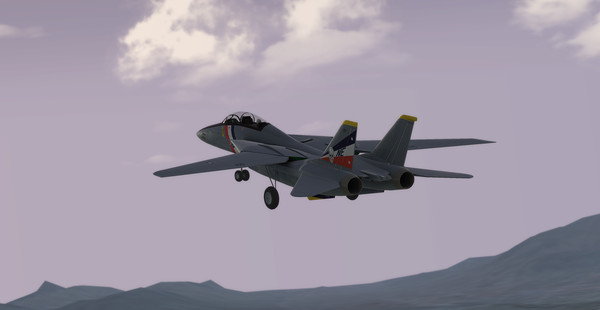 RealFlight 9.5S screenshot 4