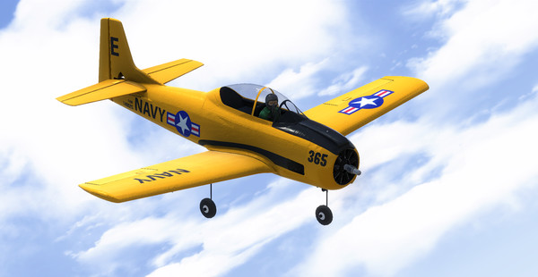 RealFlight 9.5S screenshot 1