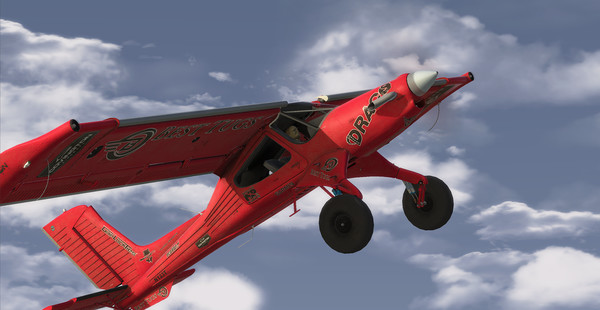 RealFlight 9.5S screenshot 2