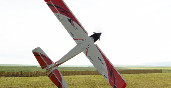 RealFlight 9.5S screenshot 5