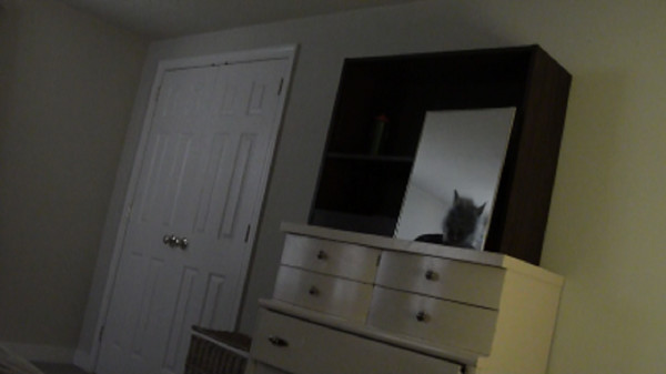 Real Scary screenshot 1