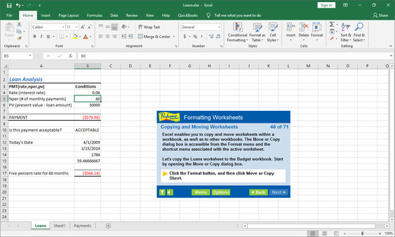 Professor Teaches Excel 2019 screenshot 4