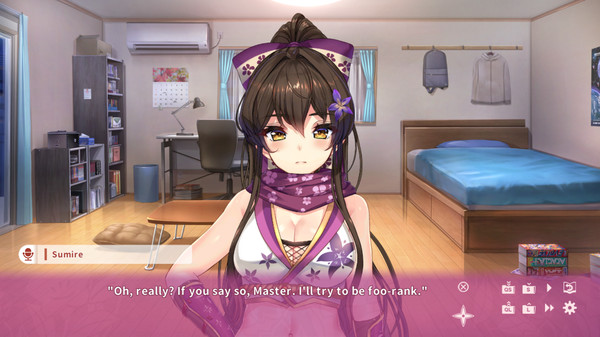 NinNinDays screenshot 5