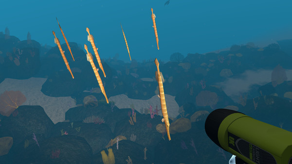 Dive with Sylvia VR screenshot 7