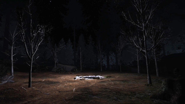 Twin Peaks VR screenshot 2