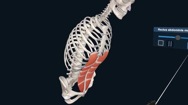 3D Organon VR Anatomy screenshot 10