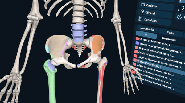 3D Organon VR Anatomy screenshot 2