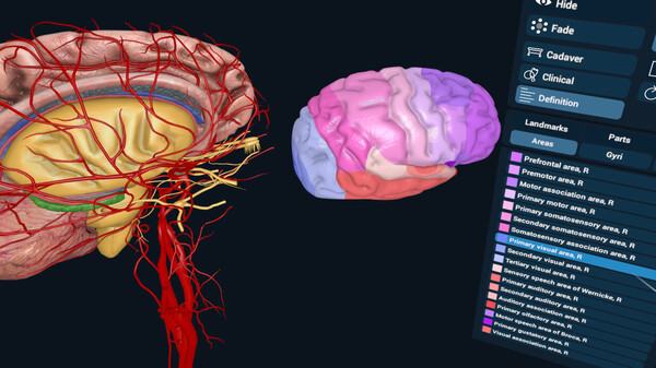 3D Organon VR Anatomy screenshot 5