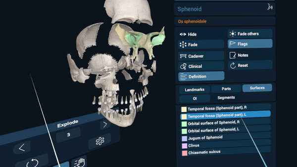 3D Organon VR Anatomy screenshot 8