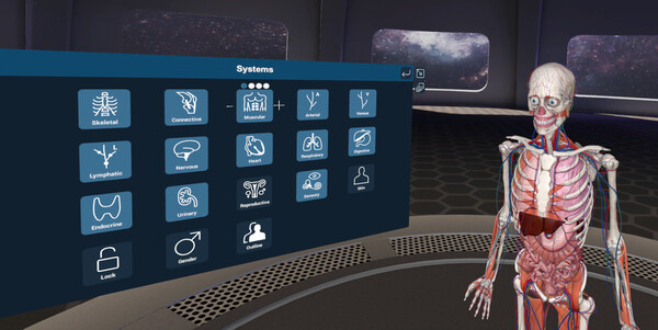 3D Organon VR Anatomy screenshot 6