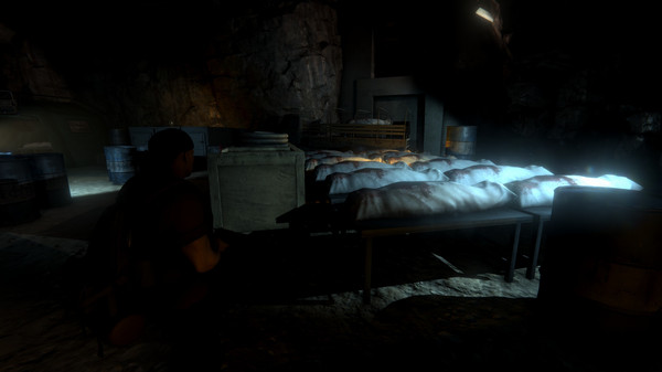 Outbreak: Epidemic screenshot 8