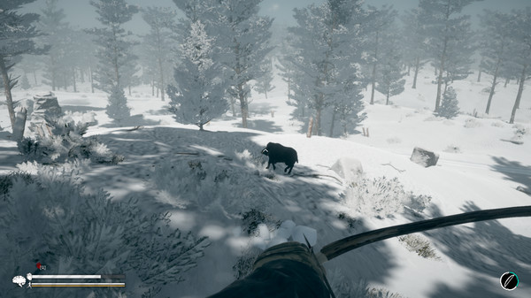 Northern Lights screenshot 3