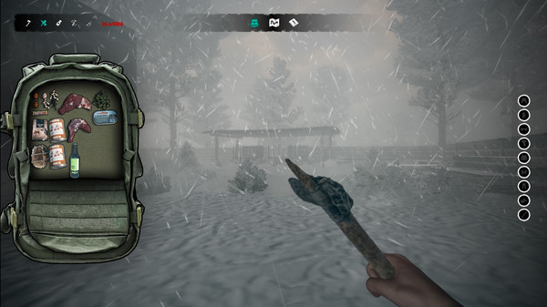 Northern Lights screenshot 4