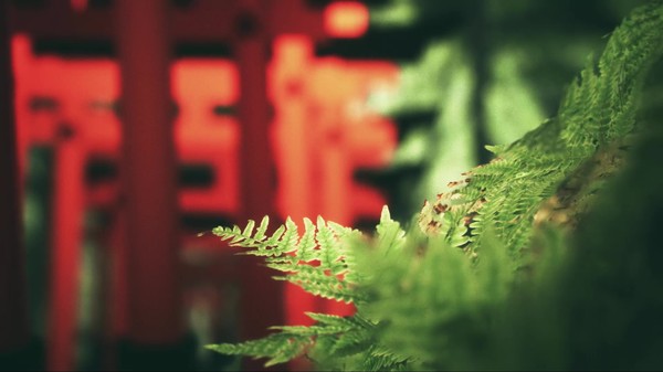 Explore Fushimi Inari screenshot 1