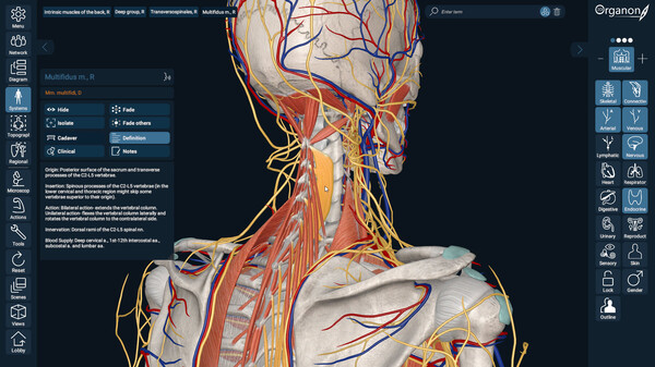 3D Organon Anatomy screenshot 3