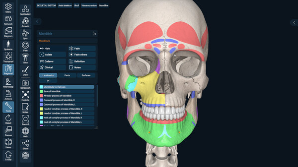 3D Organon Anatomy screenshot 12