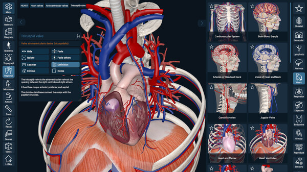 3D Organon Anatomy screenshot 1