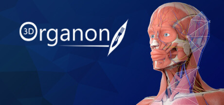 3D Organon Anatomy