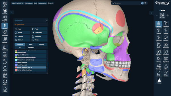 3D Organon Anatomy screenshot 2