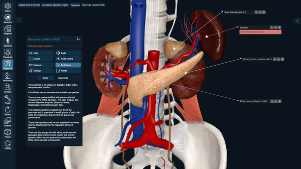 3D Organon Anatomy screenshot 11