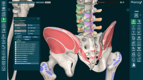 3D Organon Anatomy screenshot 9