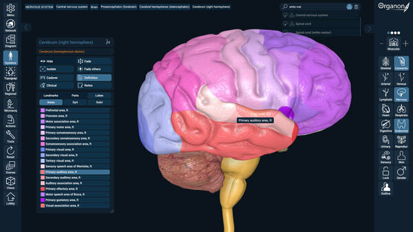 3D Organon Anatomy screenshot 7