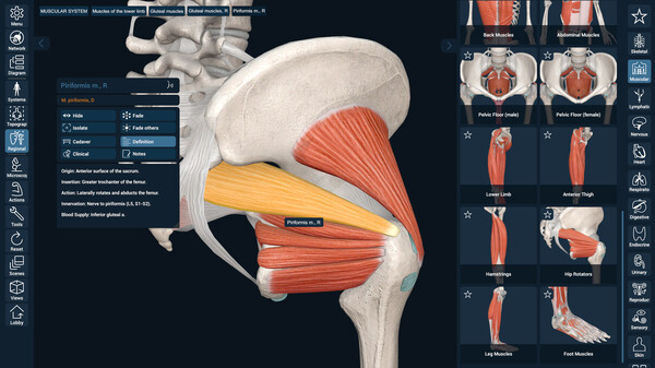 3D Organon Anatomy screenshot 10
