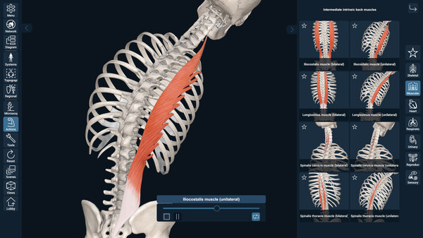3D Organon Anatomy screenshot 8