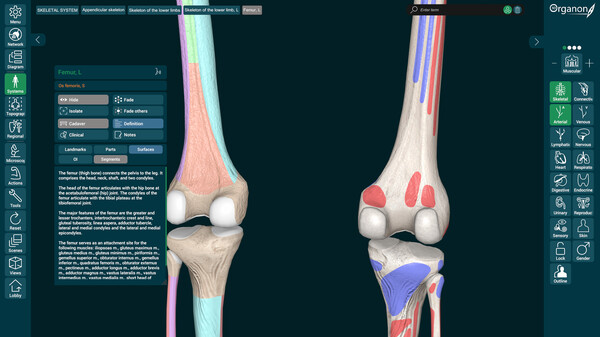 3D Organon Anatomy screenshot 6