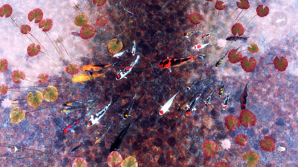 My Koi screenshot 7