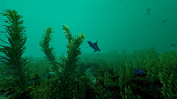 Ecosystem screenshot 11