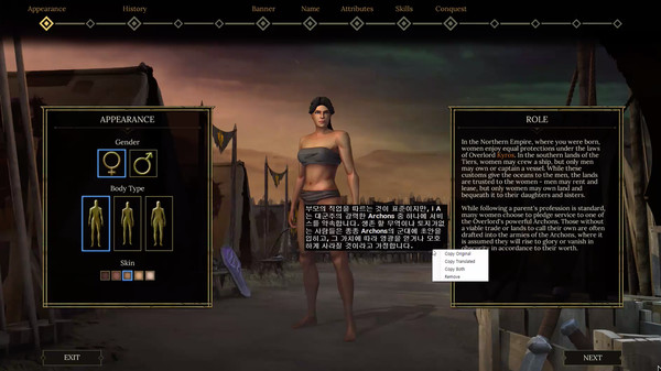 AION - Translator application screenshot 1