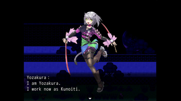 Kunoichi Ninja screenshot 2