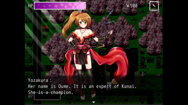 Kunoichi Ninja screenshot 7