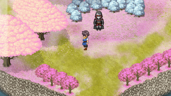 Island SAGA screenshot 6