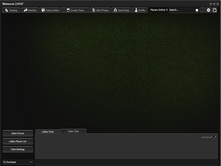Netsoccer screenshot 4