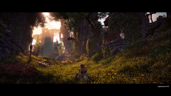Horizon Zero Dawn Complete Edition screenshot 5