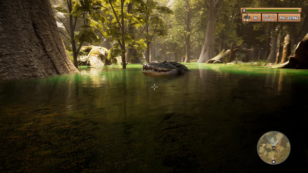 Morels: The Hunt screenshot 4